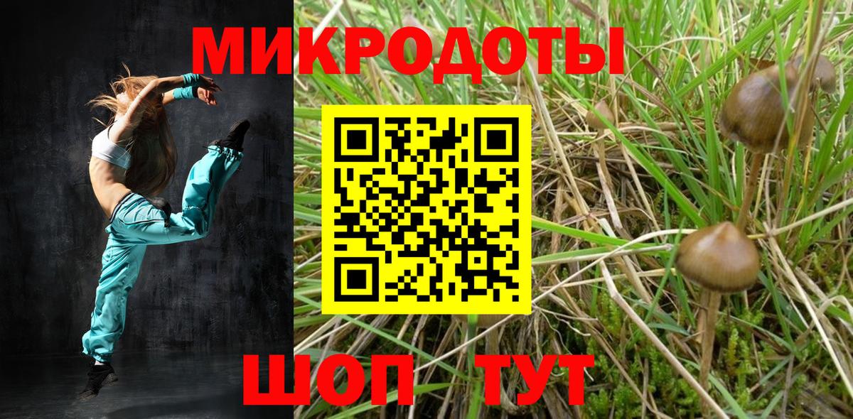 где купить наркоту  Псилоцибиновые грибы мухоморы  Вход с VPN  Абинск 