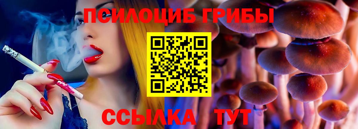 Псилоцибиновые грибы Psilocybe Абинск